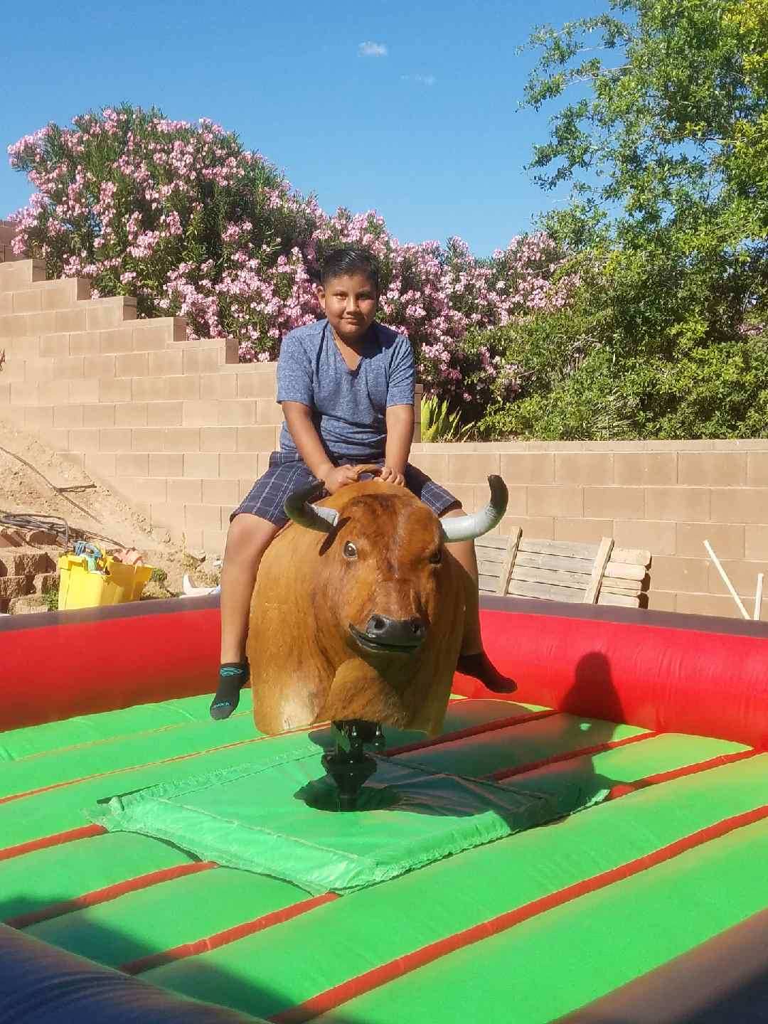 Mechanical bull attraction